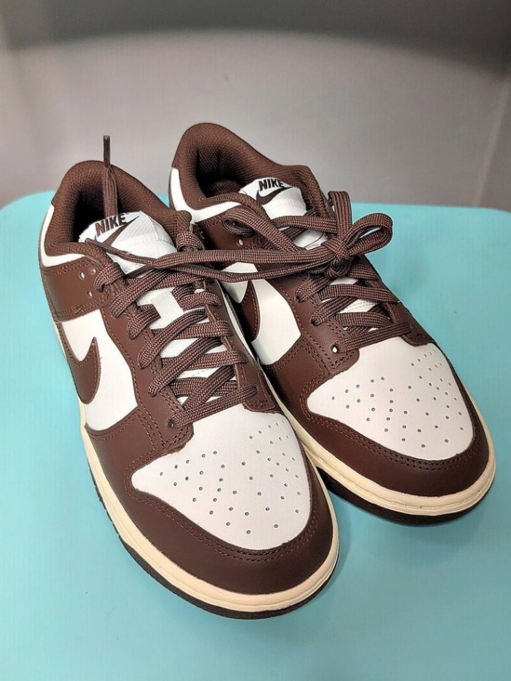 Nike Dunk Low Next Nature "Baroque Brown" Sneakers in Brown & White
